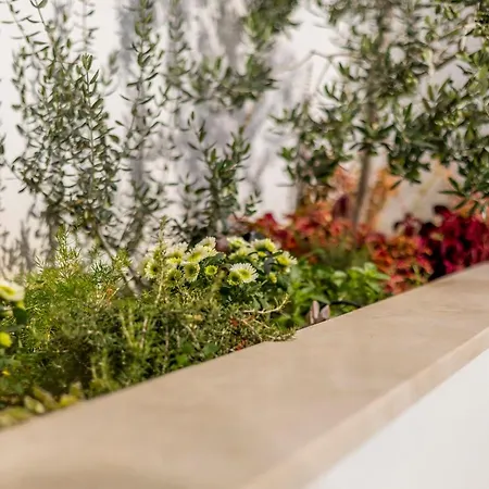 Lola, Sea On A Palm! Heated Pool * Trogir